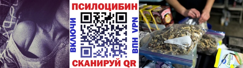 Купить закладки  Неман  Галлюциногенные грибы MAGIC MUSHROOMS 